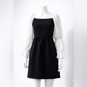 ✨ Renaissance Corset Dress – NWT ✨